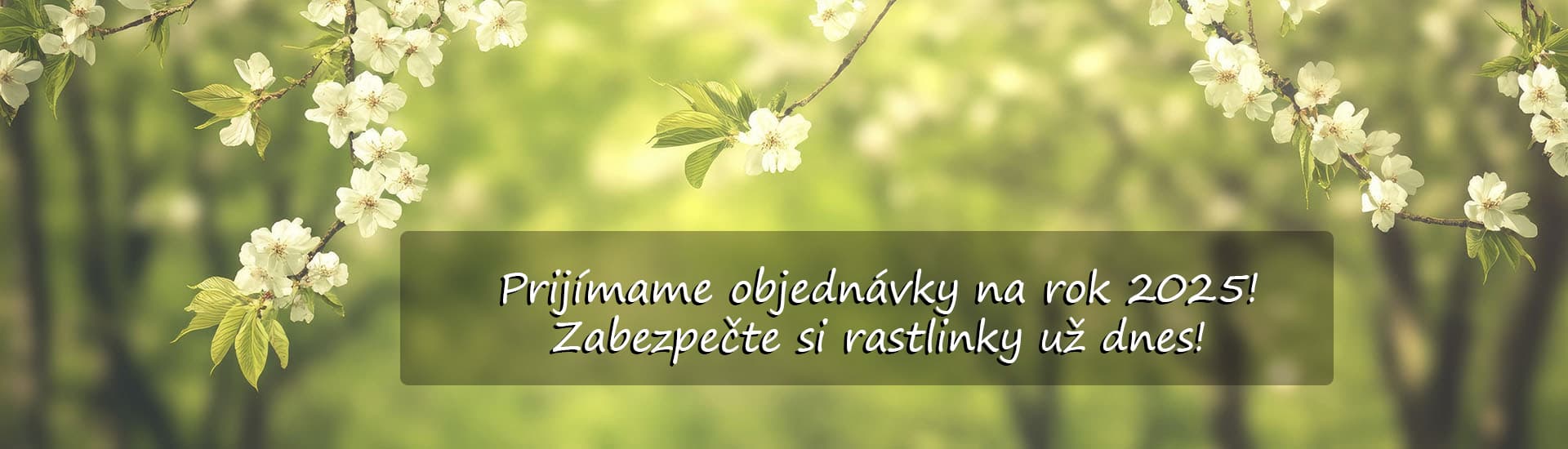 Objednávky na jar 2025