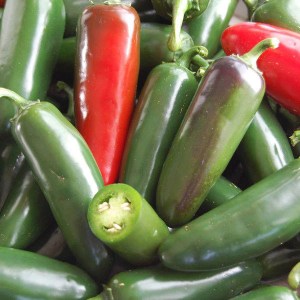 jalapeňo, jalapeno, capsicum annuum jalapeño, capsicum annuum jalapeno, capsicum, jalapeño