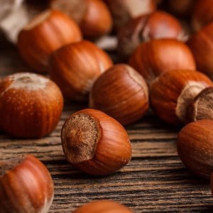 lieska tonda di giffoni,corylus avellana tonda di giffoni,lieskové orechy,ovocné dreviny,lieska odroda,úžitková záhrada,ovocný ker