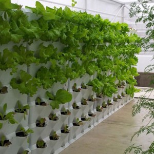 vertikálny set Minigarden šedý, vertikálna záhrada, živé steny, vertikálny set Minigarden