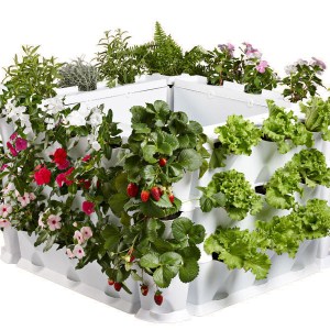 vertikálny set Minigarden čierny, vertikálna záhrada, živé steny, vertikálny set Minigarden