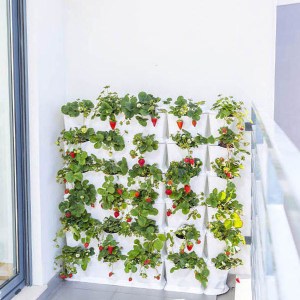 vertikálny set Minigarden čierny, vertikálna záhrada, živé steny, vertikálny set Minigarden