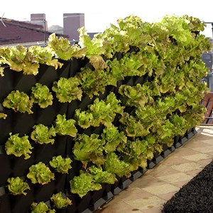 vertikálny set Minigarden čierny, vertikálna záhrada, živé steny, vertikálny set Minigarden