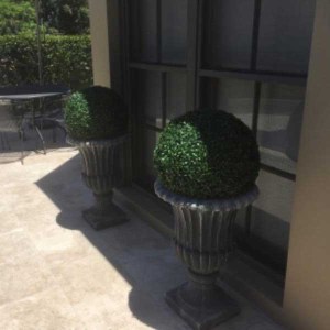 umelý buxus, umely buxus, umelý krušpán, umely kruspan, buxus, dekoračný buxus, dekoračný krušpán, dekoracny buxus, buxus 50cm, buxus 50cm, krušpán 50cm, buxusová guľa, krušpánová guľa, umelý buxus balenie 10 kusov, hromadné balenie umelý buxus 50cm